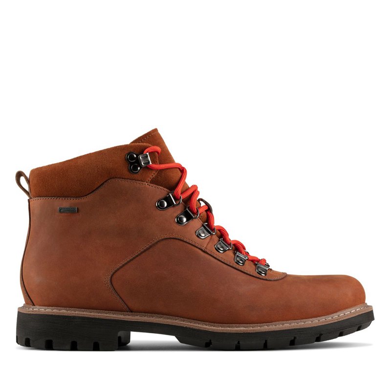 Men's Clarks Batcombe Alp GORE-TEX Ankle Boots Brown | 91641235